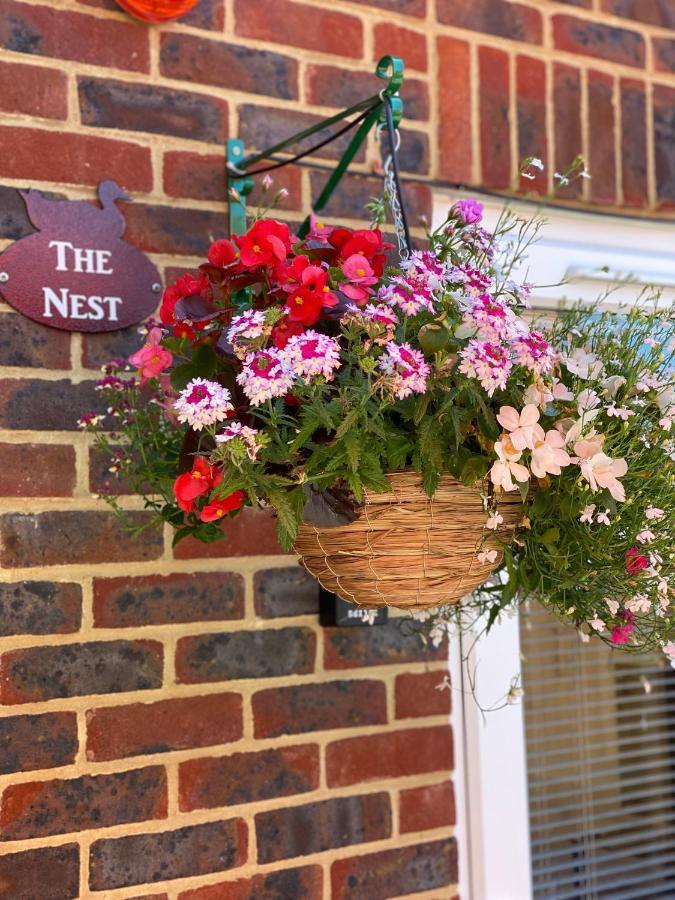 The Nest Kingston Apartamento Winterborne Kingston Exterior foto